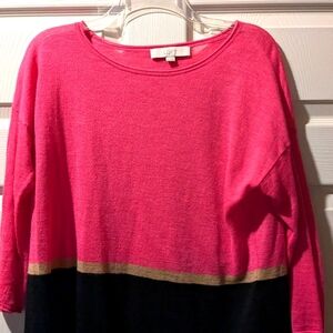 Ann Taylor LOFT sweater